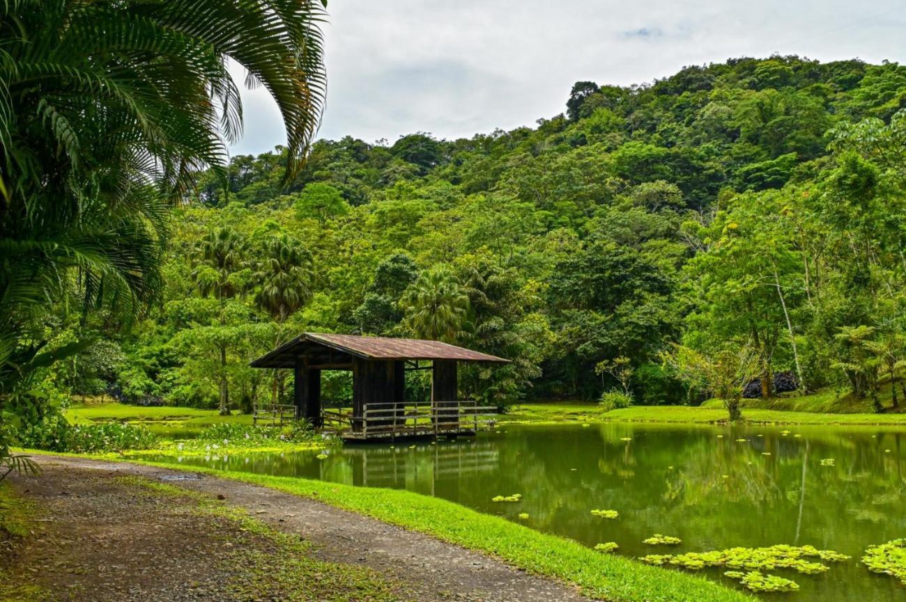 Lands In Love Hotel And Resort Colonia Palmarena Экстерьер фото