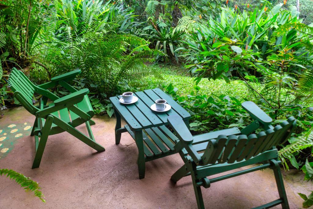 Lands In Love Hotel And Resort Colonia Palmarena Экстерьер фото