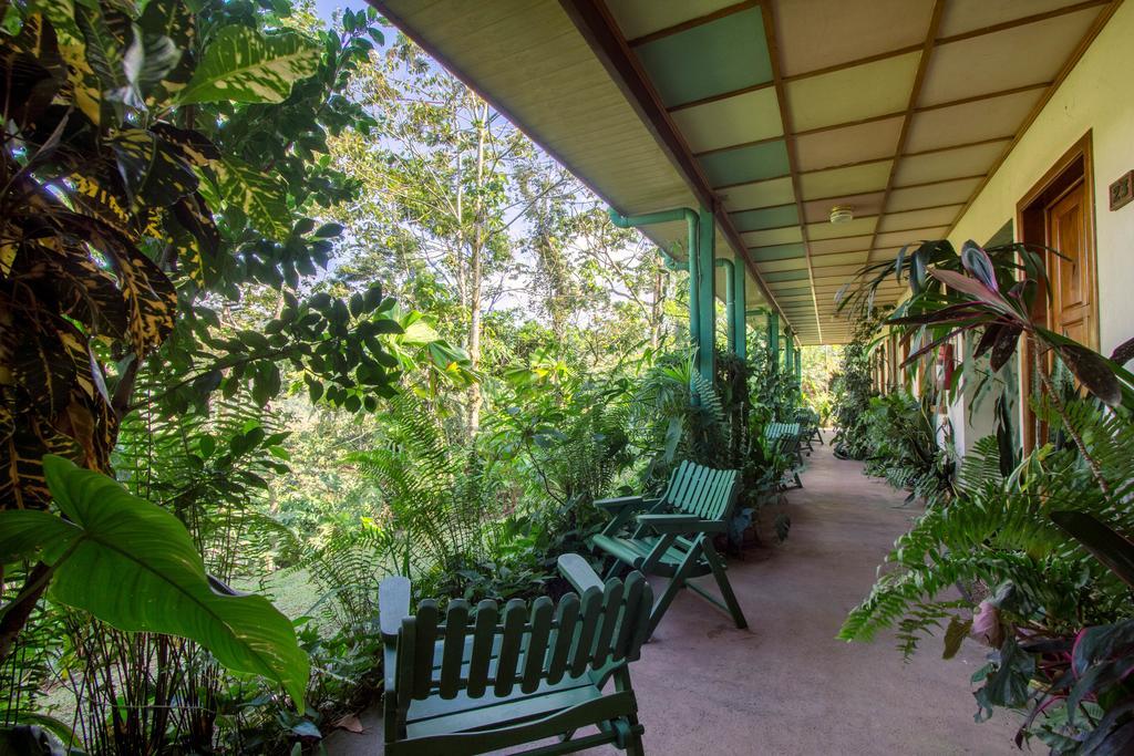 Lands In Love Hotel And Resort Colonia Palmarena Экстерьер фото